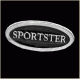 Sportster Title Pin