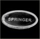 Springer Title Pin