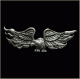 Flaming Eagle Pin