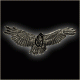 Large Landing Eagle Pin