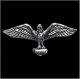 Eagle Biker Pin