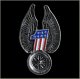 #1 Wings Wheel Pin