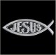 Ichthus Jesus Pin