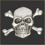 Skull & Cross Bones Snap Head