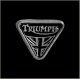 Triumph Motorcycle Pin