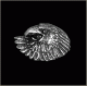 Eagle Pin