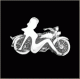 Motorcycle with Mud Flap Girl Pin
